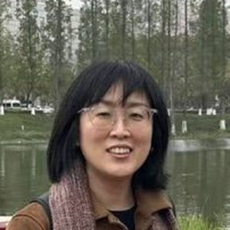 홍이진